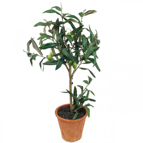 Floristik24 Umělý olivovník v květináči Umělá rostlina Oliva V63,5cm
