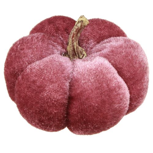 položky Dýně z látky dekorace sametově vínová Ø7cm 9 ks