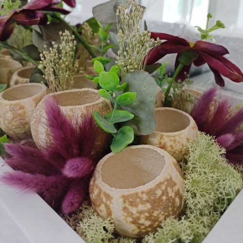 položky Dýňová dekorace Bell Cup Pumpkin Cup bělený 50 ks