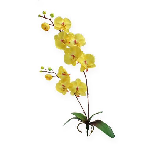 Floristik24 Umělá orchidej žlutá 68cm