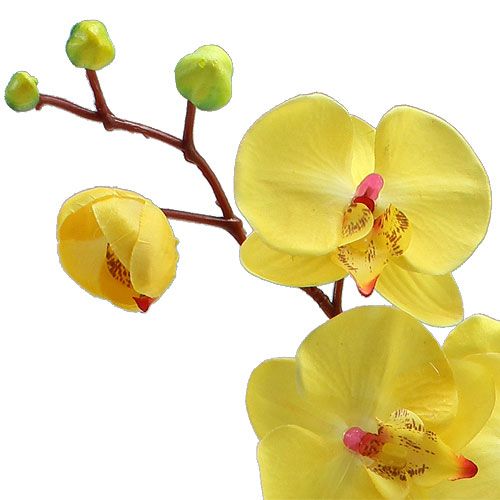 Floristik24 Umělá orchidej žlutá 68cm