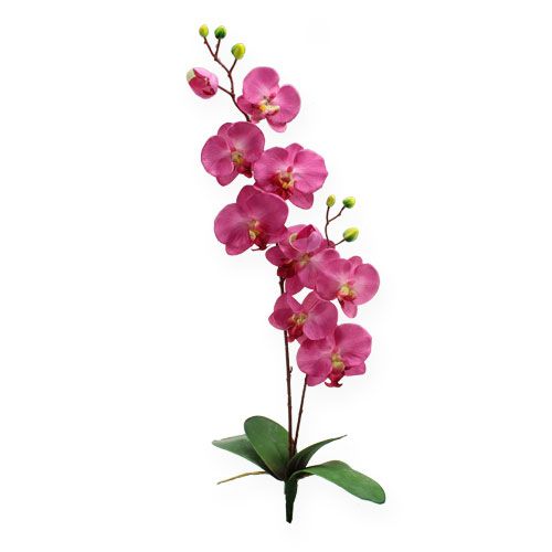 Floristik24 Umělá orchidej s listy Růžová 68cm
