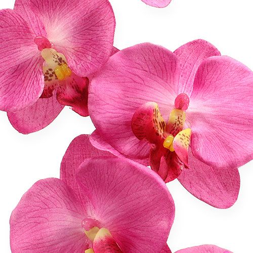 Floristik24 Umělá orchidej s listy Růžová 68cm