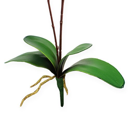 Floristik24 Umělá orchidej s listy Růžová 68cm