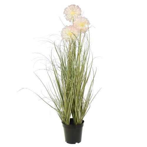 Floristik24 Umělé květiny dekorativní koule květina allium okrasná cibule umělá 78cm