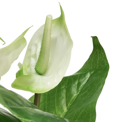 položky Umělé květiny, květ plameňáka, umělá anthurium bílá 36cm
