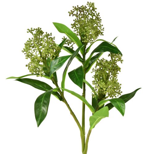 Floristik24 Umělé květiny zelené Skimmia japonica Skimmie 45cm 2ks