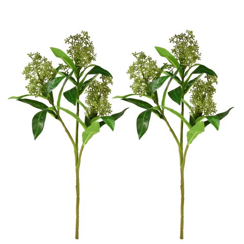položky Umělé květiny zelené Skimmia japonica Skimmie 45cm 2ks