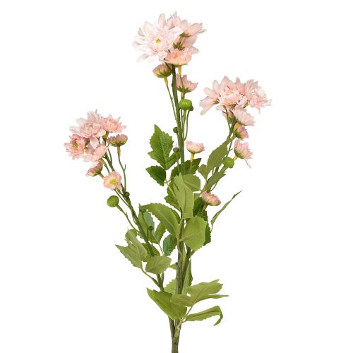 položky Umělé květiny Umělé astry Hedvábné květiny růžové 80cm