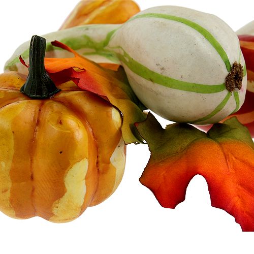 Dýňová směs barevná 12ks | Floristik24.cz