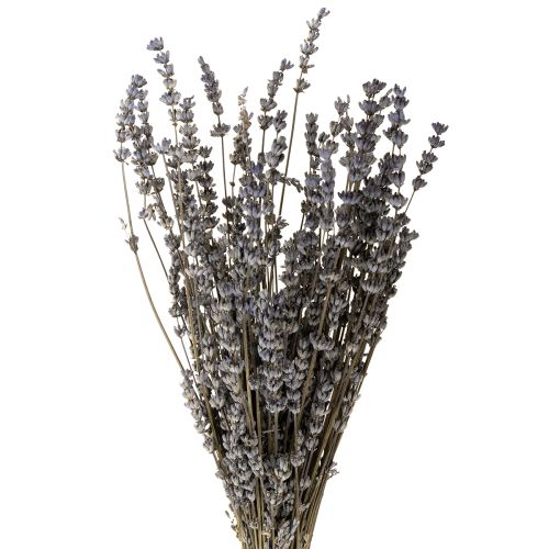 Sušené vonné květy levandule 35-40 cm 50 g