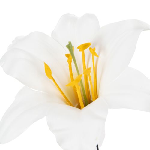 položky Lilie na drátu, střední, 25 kusů