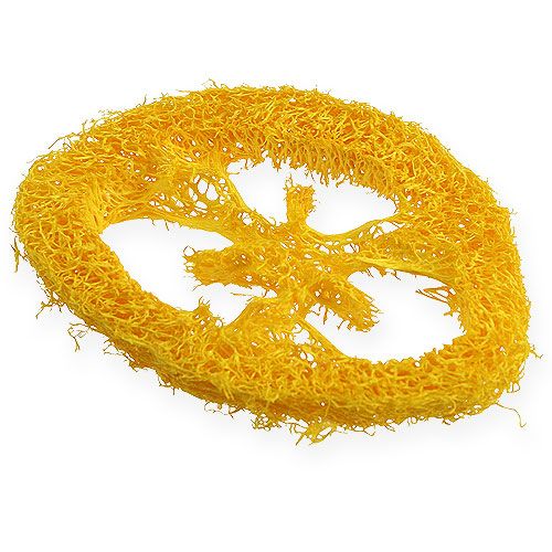 Floristik24 Kotouče Luffa žluté 25 ks