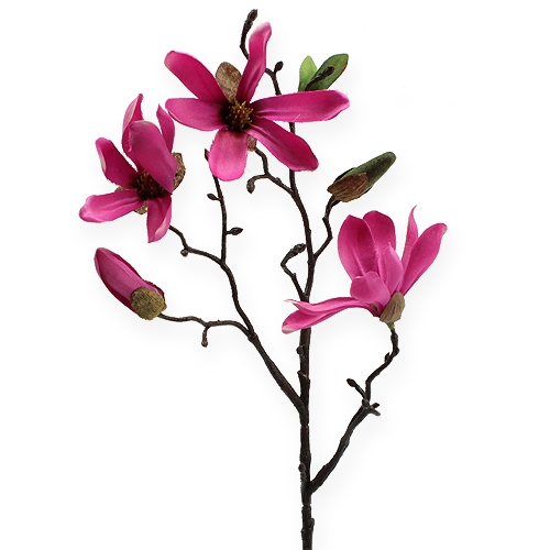 Floristik24 Magnolia větev růžová 45cm 4ks