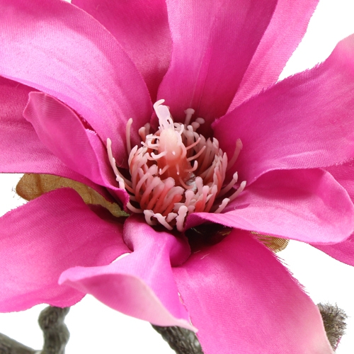 Floristik24 Magnolia větev 45cm 3ks