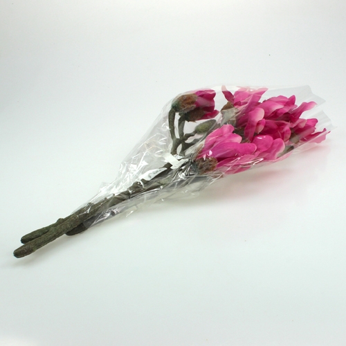 Floristik24 Magnolia větev 45cm 3ks