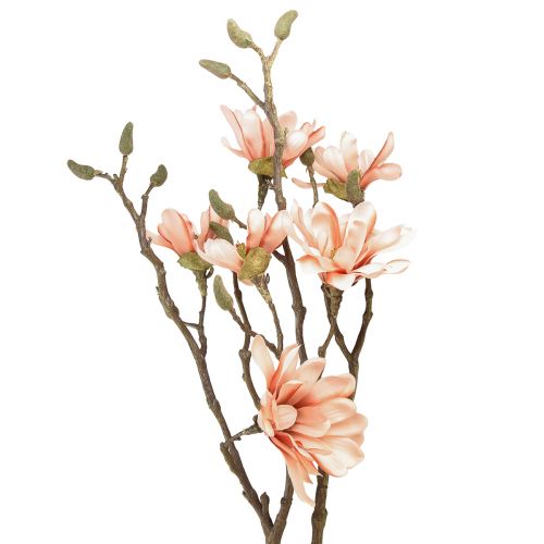 Floristik24 Magnolia větev se 6 květy Magnolia umělá lososová 84cm
