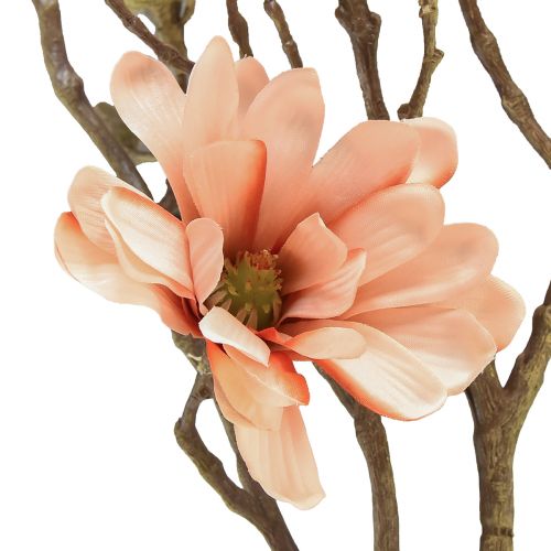 Floristik24 Magnolia větev se 6 květy Magnolia umělá lososová 84cm
