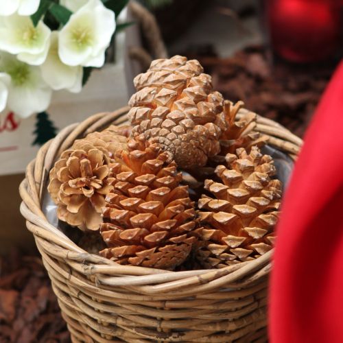 Kornouty Maritima krémovo-vanilkové mix 5-18cm 25 ks