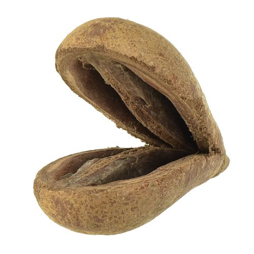 Floristik24 Mike Fruit Natural Materials Bagon Fruit Natural 8cm 50 ks