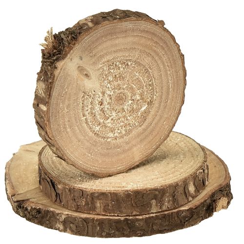 položky Mini dřevěné kotouče ozdobné kotouče na strom přírodní Ø3-6cm 600g