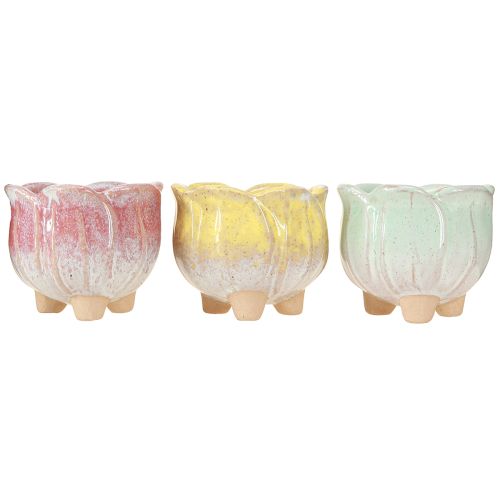 položky Mini květináč keramický květináč rozmanitý Ø8cm V7cm 3ks