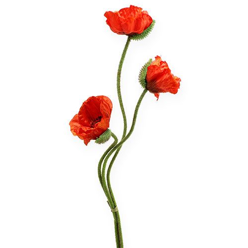 Floristik24 Umělá květina mák oranžová 75cm 3ks