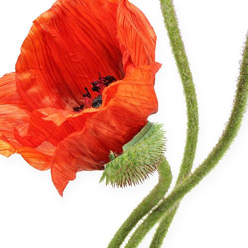 Floristik24 Umělá květina mák oranžová 75cm 3ks