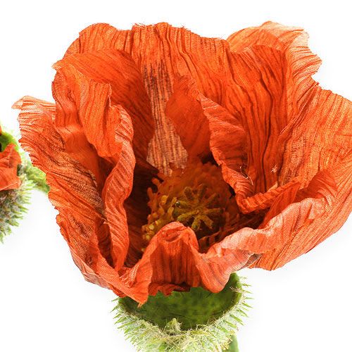 Floristik24 Maková oranžová 67cm 2ks