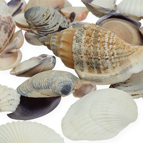 položky Přírodní směs mušlí 400g