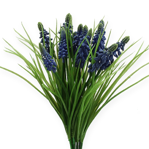 Floristik24 Hroznové hyacinty 28cm - 30cm Modré 15 ks