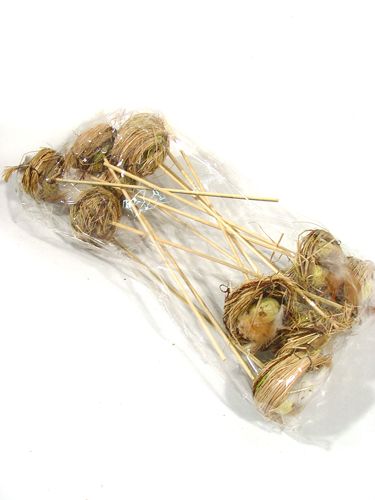 Floristik24 Ptačí hnízdo s vejci na špejli 6cm 6ks