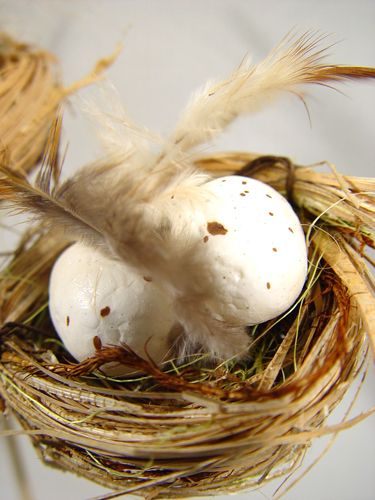 Floristik24 Ptačí hnízdo s vejci na špejli 6cm 6ks