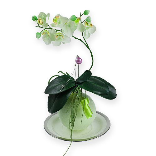 Floristik24 Pěnové koule zelené 9cm 4ks