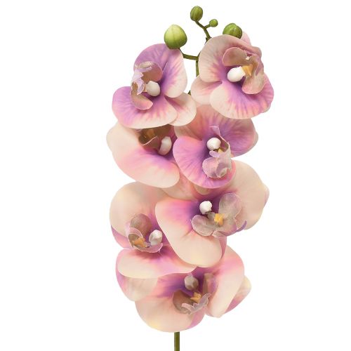 položky Orchid Phalaenopsis umělá 7 květů fialová krémová 73cm