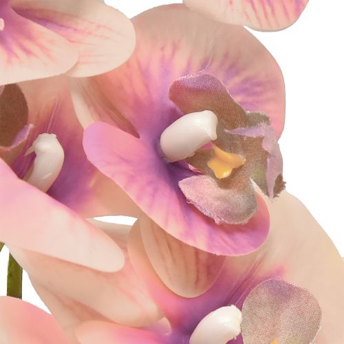 položky Orchid Phalaenopsis umělá 7 květů fialová krémová 73cm