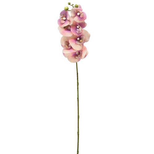 položky Orchid Phalaenopsis umělá 7 květů fialová krémová 73cm