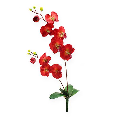 Floristik24 Deko orchidej červená 68cm