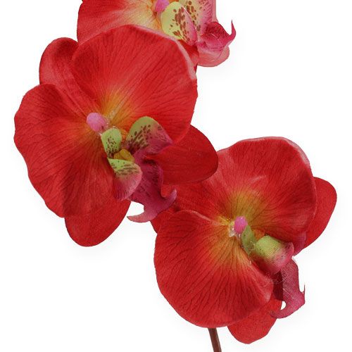 Floristik24 Deko orchidej červená 68cm