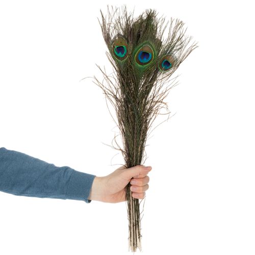 položky Paví pera, pravá ptačí pera k tvoření a zdobení, 55 cm, 10 kusů