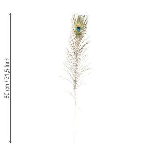 položky Dekorace z pavích per, pravá ptačí pera, dlouhá 75-85 cm, 8 kusů