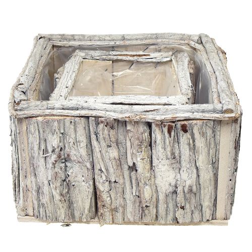 položky Rostlinné buxusové dřevo s kůrou přírodní bílá 17/24cm sada 2 kusů