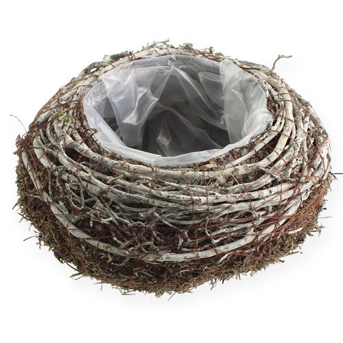 Floristik24 Květináč Ø 18 cm