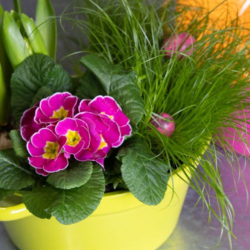 položky Plechový květináč, jarní dekorace do obývacího pokoje, 25 cm, 3 kusy