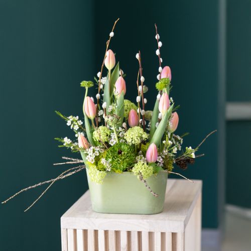 Floristik24 Miska na rostliny oválná zelená plastová miska 20×10×11cm 3 ks