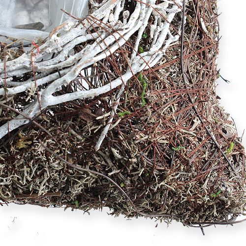 Floristik24 Čtvercová květináč 20 cm x 20 cm