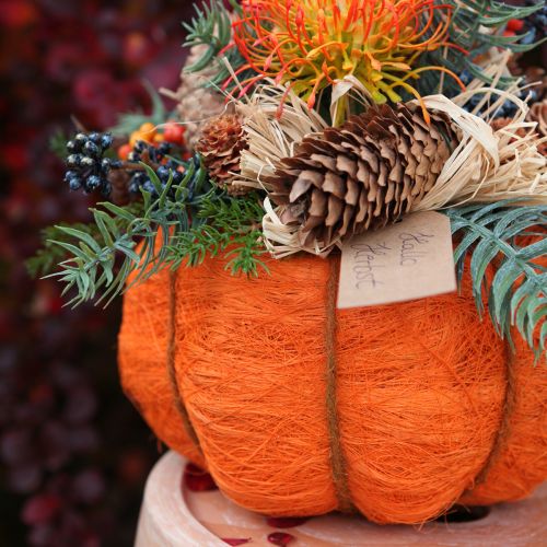 položky Dekorace na květináč dýně oranžovo-žlutozelený sisal Ø21cm V12cm