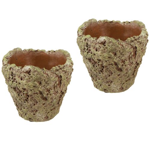 položky Květináč rustikální květináč lesního vzhledu Ø12,5cm V12cm 6ks