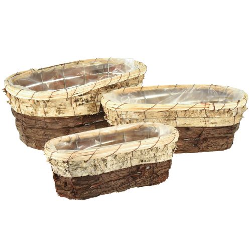 Floristik24 Podnos na rostliny, přírodní dřevo, 3-barevný, L29,5/25/23 cm, sada 3 ks