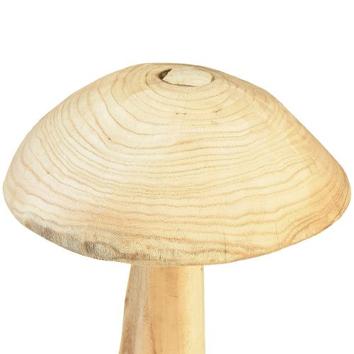 Floristik24 Socha houby z přírodního jilmového dřeva - Rustikální design, 37 cm - Stylová dekorace do zahrady a interiéru